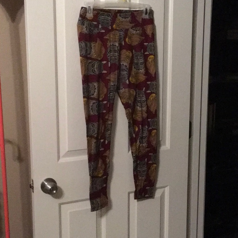 Maroon Maine coon cat leggings